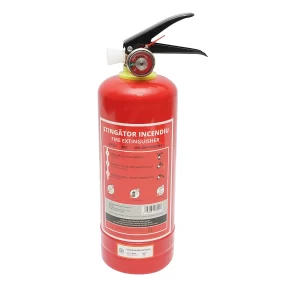 Stingator auto 1kg P1 omologat